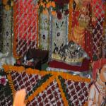 Vraj-Yatra-2014- (515)